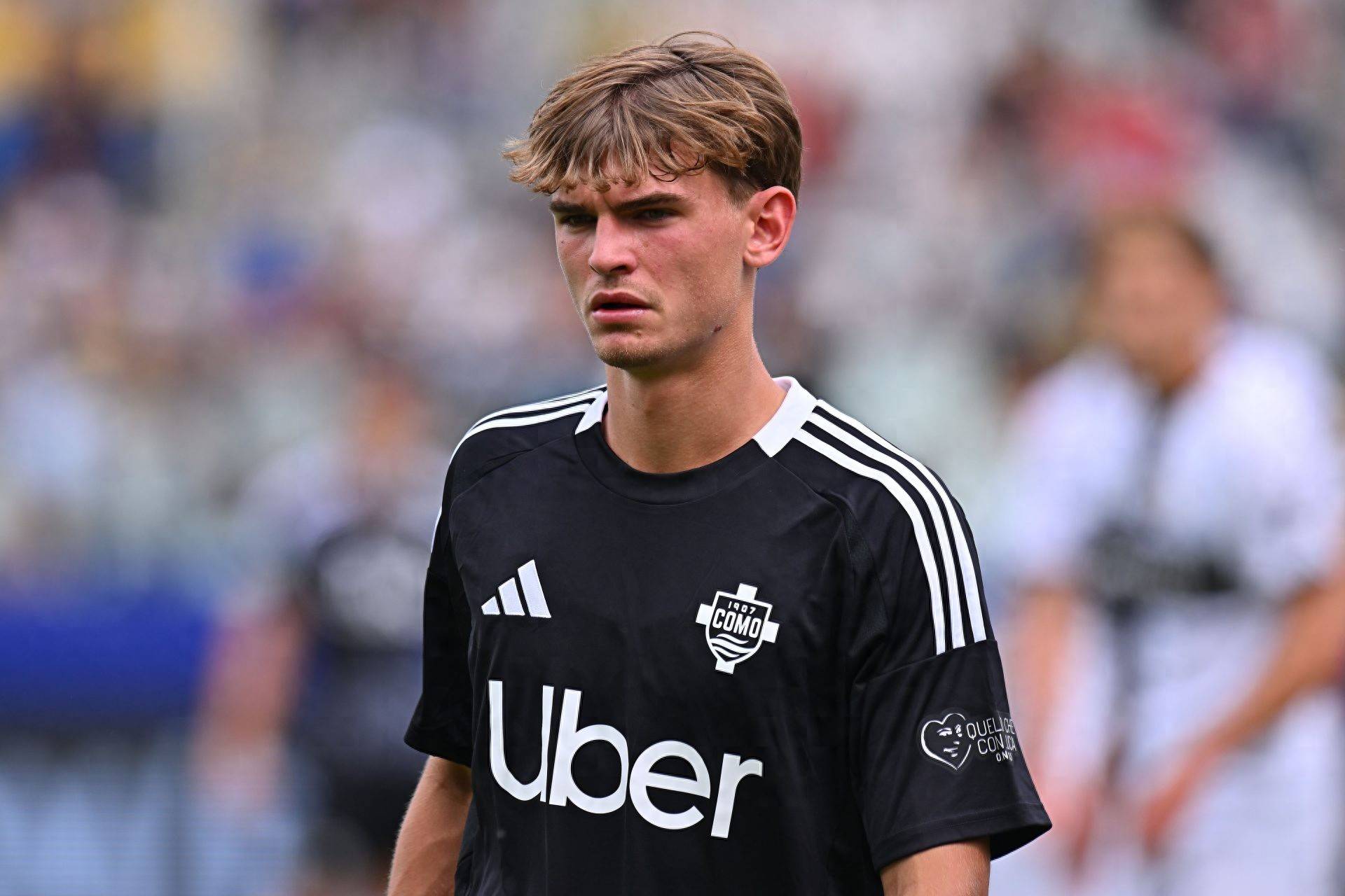 他们将可能 他们将可能