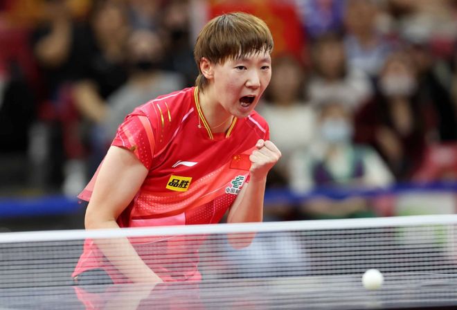 风云组合蔡 风云组合蔡