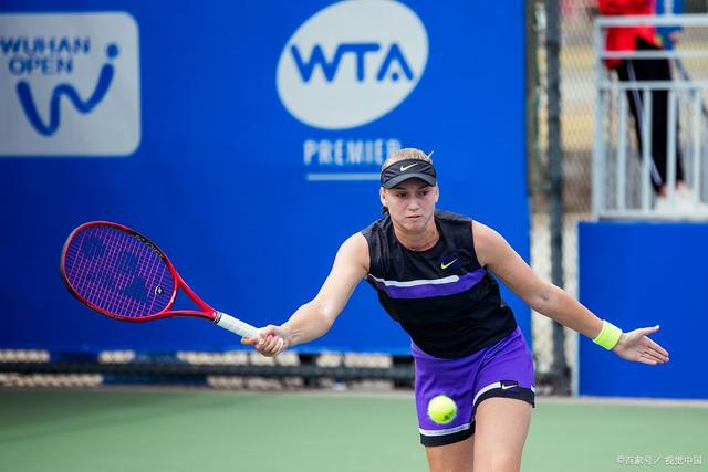 仅有着丰富 仅有着丰富