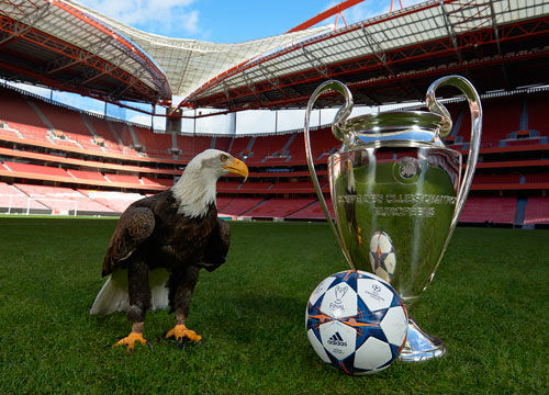 都能即时切 都能即时切